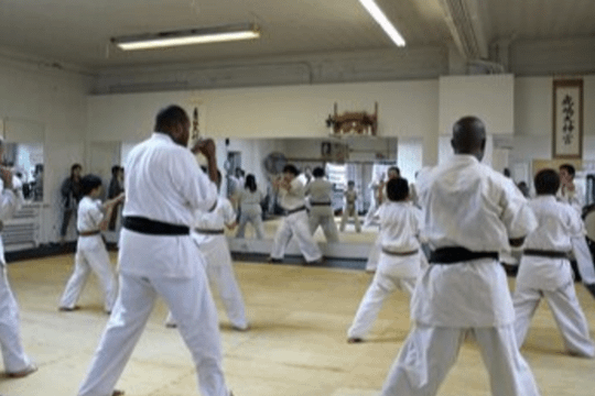 Image 3 from Bushiken Karate Saint-Cyr Dojo partner gallery