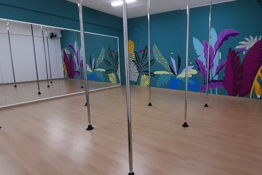 Imagem 1 da galeria do parceiro Valkirias Pole Dance