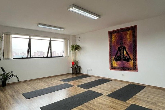 Imagem 3 da galeria do parceiro Espaço Mahna Yoga e Terapias