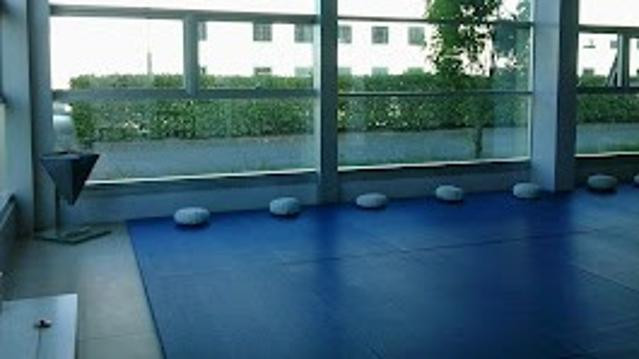 Immagine 2 dalla galleria del partner Parsifal Yoga Studio Crema