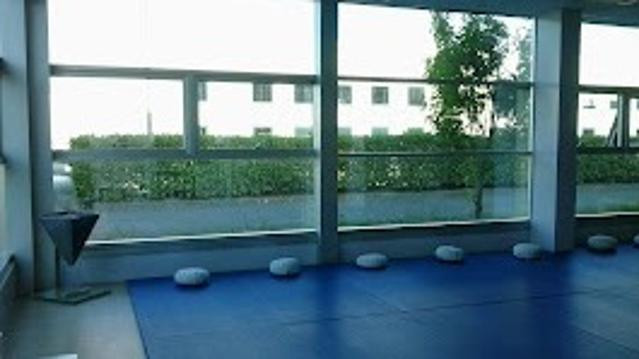 Immagine 3 dalla galleria del partner Parsifal Yoga Studio Crema