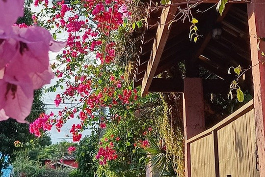 Imagem 2 da galeria do parceiro Jardins do Corpo YOGA