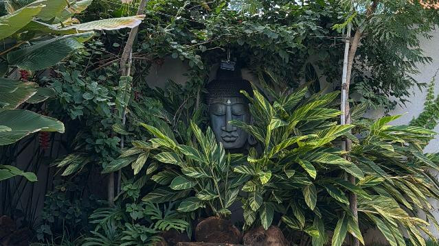 Imagem 2 da galeria do parceiro Flor e Ser Yoga