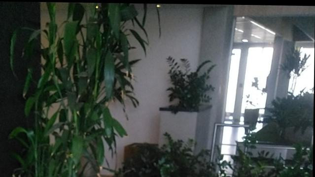 Imagem 2 da galeria do parceiro Massoterapia Gislaine Rezzende