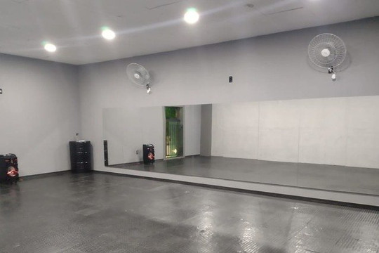 Imagem 1 da galeria do parceiro Alfacross Dance