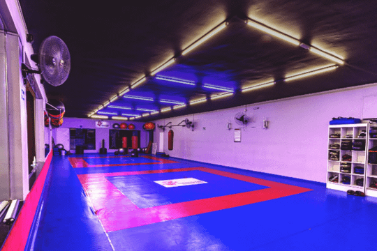 Imagem 1 da galeria do parceiro Academia Gaviões - Vila Galvão