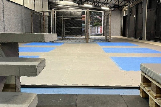 Imagem 3 da galeria do parceiro Champions Fighters