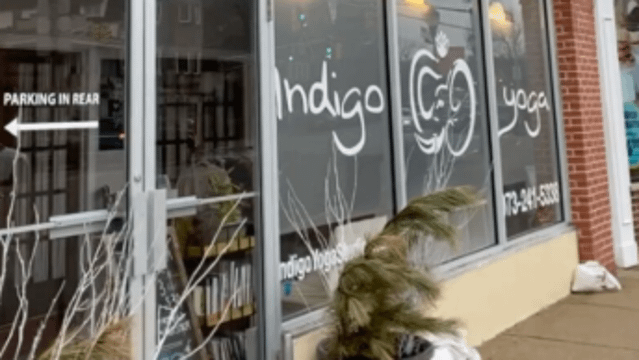 Image 2 from Indigo Yoga- partner gallery