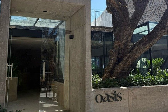 Imagen 2 de la galería del partner Oasis Studio Mx