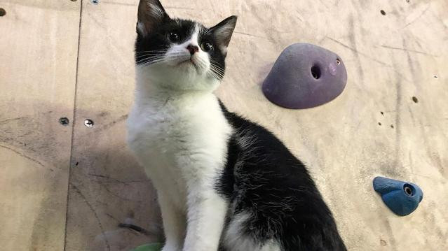 Image 3 from The Boulder Yard partner gallery