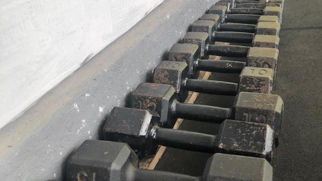 Imagem 3 da galeria do parceiro CROSS LION - Nicelle Leão