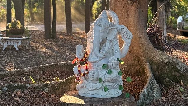 Imagem 1 da galeria do parceiro Ananda Vidya - Escola de Yoga