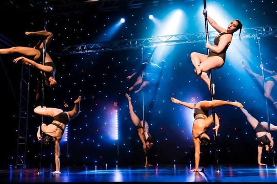 Image 1 from ARTemis Pole Studio partner gallery