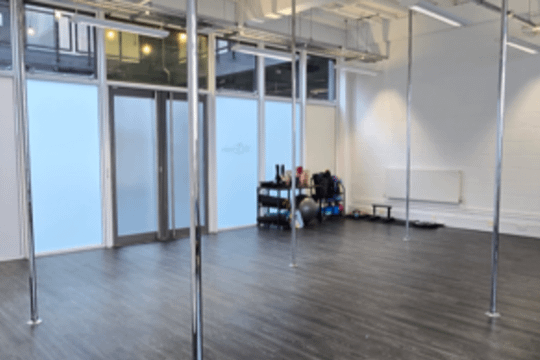 Image 3 from ARTemis Pole Studio partner gallery