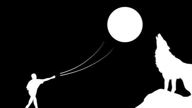 Imagen 3 de la galería del partner Lobos Club de Dodgeball