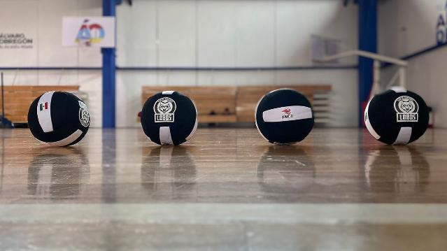 Imagen 1 de la galería del partner Lobos Club de Dodgeball