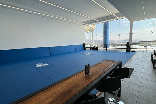 Imagen 3 de la galería del partner MD Self Defense Satélite