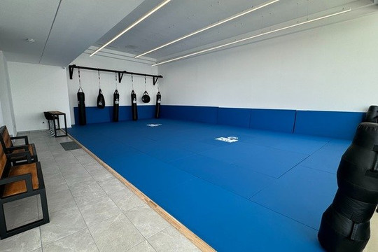 Imagen 1 de la galería del partner MD Self Defense Satélite