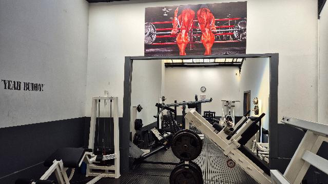 Image 3 from Musclefactory Gymnasium partner gallery