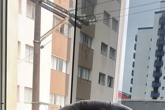 Imagem 2 da galeria do parceiro Studio Virna Oliveira Pilates e Fisioterapia