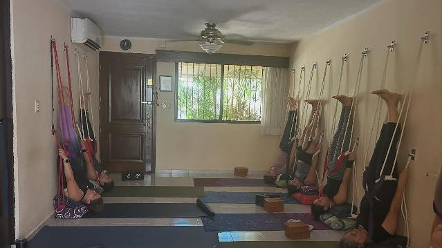 Imagen 2 de la galería del partner Yoga Estudio Mérida