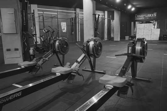Immagine 2 dalla galleria del partner Crossfit Land of Lakes