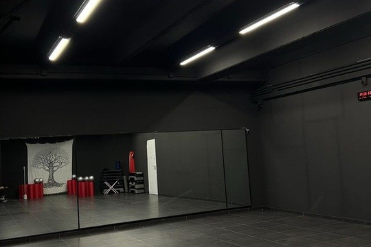 Immagine 3 dalla galleria del partner FitXGame