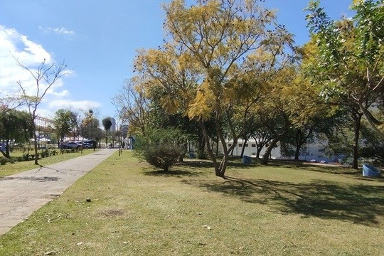 Imagem 2 da galeria do parceiro MoviMente Yoga ao ar livre