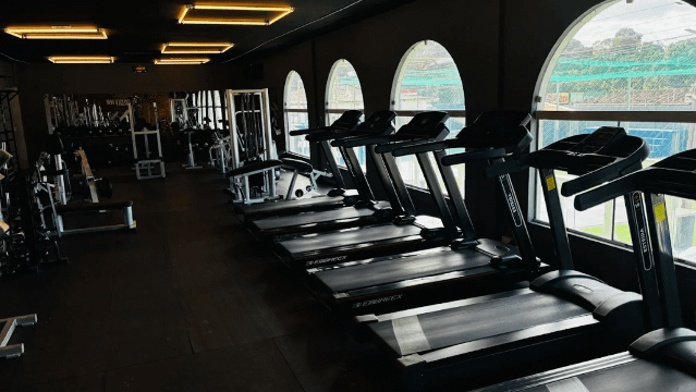 Imagem 1 da galeria do parceiro ARENA PARK COLISEU