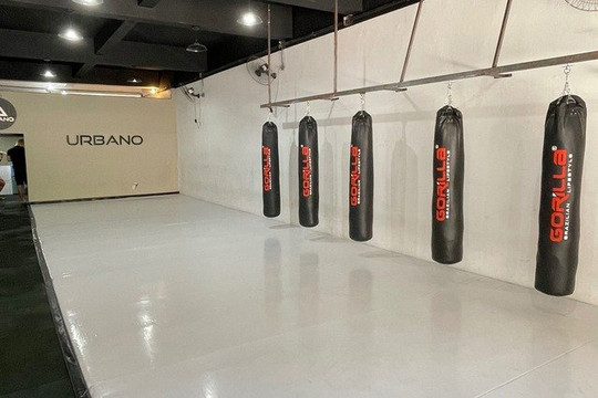 Imagem 1 da galeria do parceiro Urbano Jiu Jitsu