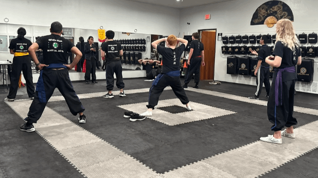 Image 3 from Seven Star Martial Arts partner gallery