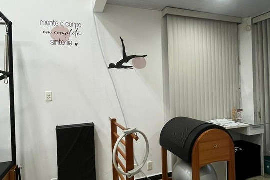 Imagem 3 da galeria do parceiro Luiza Dutra Fisioterapia e Pilates