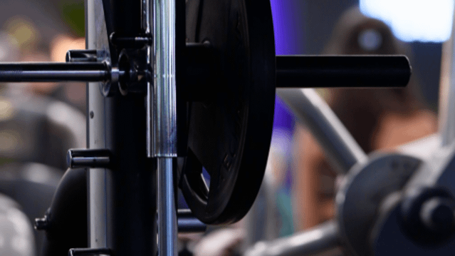 Bild 3 von pro-fitness-discounter Jestetten Partnergalerie