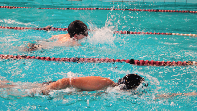 Imagem 3 da galeria do parceiro Amaracqua | Rocco Escola de Natação