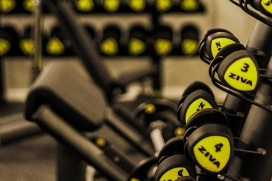 Imagem 3 da galeria do parceiro Domus Academia