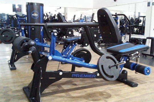 Imagem 2 da galeria do parceiro Bio Flex