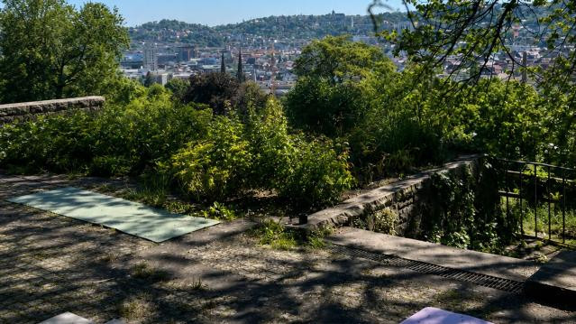 Bild 3 von YogaThrive x Karlshöhe Partnergalerie