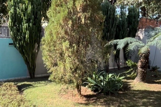 Imagem 3 da galeria do parceiro Reabilitar Especialidades Médicas e Reabilitação Física