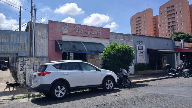 Imagem 2 da galeria do parceiro Academia Performance