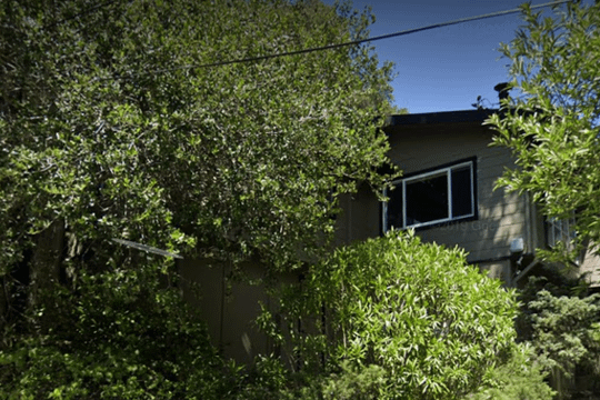 Image 2 from Wisdom Warrior Training partner gallery