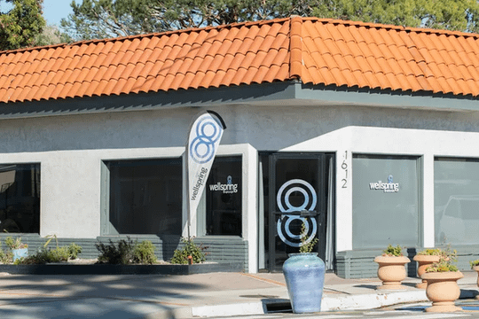 Image 2 from Wellspring 88 partner gallery