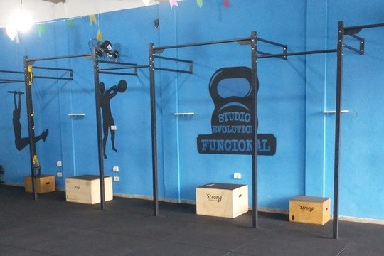 Imagem 1 da galeria do parceiro Studio Evolution Funcional