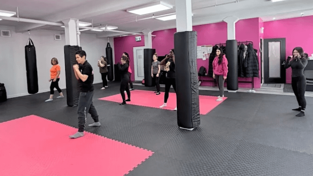 Image 3 from SheFighter Toronto partner gallery