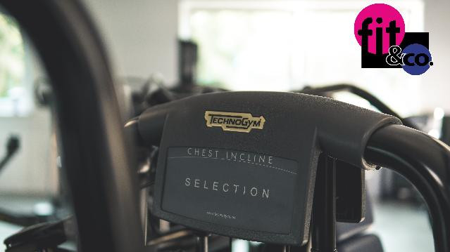 Bild 1 von Fit&Co Partnergalerie