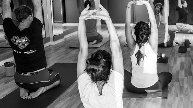Image 1 from Triangle Shala Yoga Studio partner gallery
