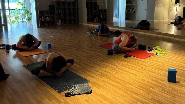 Image 1 from Triangle Shala Yoga Studio partner gallery