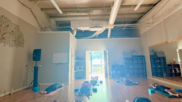 Image 2 from Triangle Shala Yoga Studio partner gallery