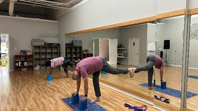 Image 3 from Triangle Shala Yoga Studio partner gallery