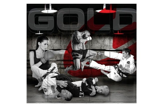 Imagem 1 da galeria do parceiro Centro de Treinamento Gold - artes marciais
