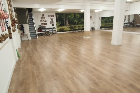 Imagen 2 de la galería del partner Capoeira Matumbé Sants